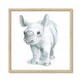 Picture of Tiny Rhino _GroupedProduct_Square_Mini_ _GroupedProduct_Square_Framed_Matted_
