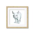 Picture of Tiny Rhino _GroupedProduct_Square_Mini_ _GroupedProduct_Square_Framed_Matted_