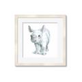Picture of Tiny Rhino _GroupedProduct_Square_Mini_ _GroupedProduct_Square_Framed_Matted_