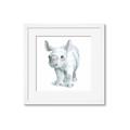Picture of Tiny Rhino _GroupedProduct_Square_Mini_ _GroupedProduct_Square_Framed_Matted_