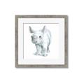 Picture of Tiny Rhino _GroupedProduct_Square_Mini_ _GroupedProduct_Square_Framed_Matted_