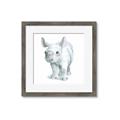 Picture of Tiny Rhino _GroupedProduct_Square_Mini_ _GroupedProduct_Square_Framed_Matted_