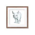 Picture of Tiny Rhino _GroupedProduct_Square_Mini_ _GroupedProduct_Square_Framed_Matted_