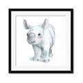 Picture of Tiny Rhino _GroupedProduct_Square_Mini_ _GroupedProduct_Square_Framed_Matted_
