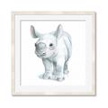 Picture of Tiny Rhino _GroupedProduct_Square_Mini_ _GroupedProduct_Square_Framed_Matted_