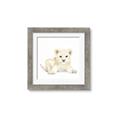 Picture of Tiny Lion _GroupedProduct_Square_Mini_ _GroupedProduct_Square_Framed_Matted_