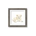 Picture of Tiny Lion _GroupedProduct_Square_Mini_ _GroupedProduct_Square_Framed_Matted_