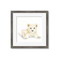 Picture of Tiny Lion _GroupedProduct_Square_Mini_ _GroupedProduct_Square_Framed_Matted_