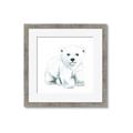 Picture of Tiny Polar Bear _GroupedProduct_Square_Mini_ _GroupedProduct_Square_Framed_Matted_