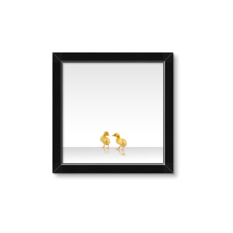 Picture of Together Ducks _GroupedProduct_Square_Mini_ _GroupedProduct_Square_Framed_Matted_