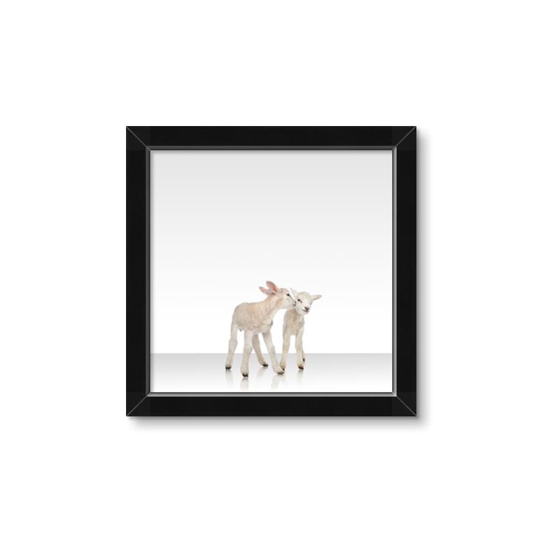 Picture of Together Lambs _GroupedProduct_Square_Mini_ _GroupedProduct_Square_Framed_Matted_