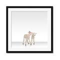 Picture of Together Lambs _GroupedProduct_Square_Mini_ _GroupedProduct_Square_Framed_Matted_