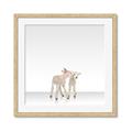 Picture of Together Lambs _GroupedProduct_Square_Mini_ _GroupedProduct_Square_Framed_Matted_