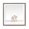 Picture of Together Lambs _GroupedProduct_Square_Mini_ _GroupedProduct_Square_Framed_Matted_