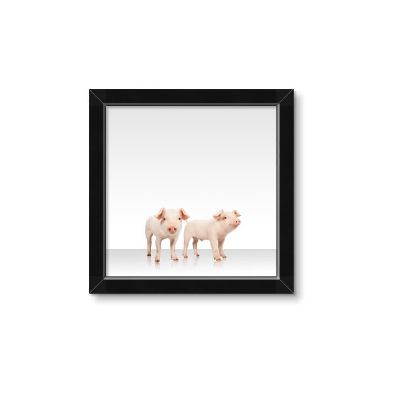 Picture of Together Pigs _GroupedProduct_Square_Mini_ _GroupedProduct_Square_Framed_Matted_