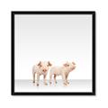 Picture of Together Pigs _GroupedProduct_Square_Mini_ _GroupedProduct_Square_Framed_Matted_