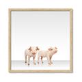 Picture of Together Pigs _GroupedProduct_Square_Mini_ _GroupedProduct_Square_Framed_Matted_