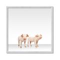 Picture of Together Pigs _GroupedProduct_Square_Mini_ _GroupedProduct_Square_Framed_Matted_
