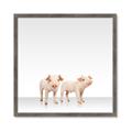 Picture of Together Pigs _GroupedProduct_Square_Mini_ _GroupedProduct_Square_Framed_Matted_