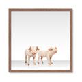 Picture of Together Pigs _GroupedProduct_Square_Mini_ _GroupedProduct_Square_Framed_Matted_