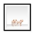 Picture of Together Pigs _GroupedProduct_Square_Mini_ _GroupedProduct_Square_Framed_Matted_