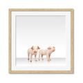 Picture of Together Pigs _GroupedProduct_Square_Mini_ _GroupedProduct_Square_Framed_Matted_