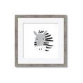 Picture of Zebra Drawing _GroupedProduct_Square_Mini_ _GroupedProduct_Square_Framed_Matted_