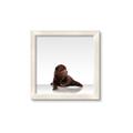 Picture of Singular Bear _GroupedProduct_Square_Mini_ _GroupedProduct_Square_Framed_Matted_