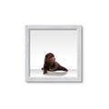 Picture of Singular Bear _GroupedProduct_Square_Mini_ _GroupedProduct_Square_Framed_Matted_
