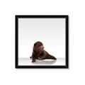 Picture of Singular Bear _GroupedProduct_Square_Mini_ _GroupedProduct_Square_Framed_Matted_