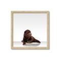 Picture of Singular Bear _GroupedProduct_Square_Mini_ _GroupedProduct_Square_Framed_Matted_