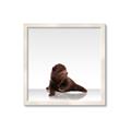 Picture of Singular Bear _GroupedProduct_Square_Mini_ _GroupedProduct_Square_Framed_Matted_