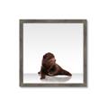 Picture of Singular Bear _GroupedProduct_Square_Mini_ _GroupedProduct_Square_Framed_Matted_