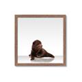 Picture of Singular Bear _GroupedProduct_Square_Mini_ _GroupedProduct_Square_Framed_Matted_