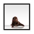 Picture of Singular Bear _GroupedProduct_Square_Mini_ _GroupedProduct_Square_Framed_Matted_