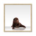Picture of Singular Bear _GroupedProduct_Square_Mini_ _GroupedProduct_Square_Framed_Matted_