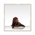 Picture of Singular Bear _GroupedProduct_Square_Mini_ _GroupedProduct_Square_Framed_Matted_