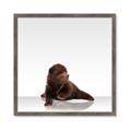Picture of Singular Bear _GroupedProduct_Square_Mini_ _GroupedProduct_Square_Framed_Matted_