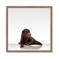 Picture of Singular Bear _GroupedProduct_Square_Mini_ _GroupedProduct_Square_Framed_Matted_