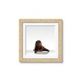 Picture of Singular Bear _GroupedProduct_Square_Mini_ _GroupedProduct_Square_Framed_Matted_