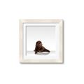 Picture of Singular Bear _GroupedProduct_Square_Mini_ _GroupedProduct_Square_Framed_Matted_