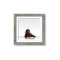 Picture of Singular Bear _GroupedProduct_Square_Mini_ _GroupedProduct_Square_Framed_Matted_