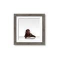 Picture of Singular Bear _GroupedProduct_Square_Mini_ _GroupedProduct_Square_Framed_Matted_