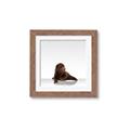 Picture of Singular Bear _GroupedProduct_Square_Mini_ _GroupedProduct_Square_Framed_Matted_