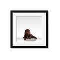 Picture of Singular Bear _GroupedProduct_Square_Mini_ _GroupedProduct_Square_Framed_Matted_