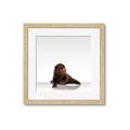 Picture of Singular Bear _GroupedProduct_Square_Mini_ _GroupedProduct_Square_Framed_Matted_