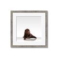 Picture of Singular Bear _GroupedProduct_Square_Mini_ _GroupedProduct_Square_Framed_Matted_