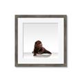 Picture of Singular Bear _GroupedProduct_Square_Mini_ _GroupedProduct_Square_Framed_Matted_