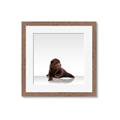 Picture of Singular Bear _GroupedProduct_Square_Mini_ _GroupedProduct_Square_Framed_Matted_