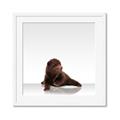 Picture of Singular Bear _GroupedProduct_Square_Mini_ _GroupedProduct_Square_Framed_Matted_